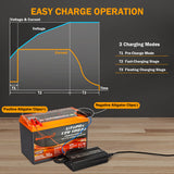 Enjoybot 14.6V-20A LiFePO4 Lithium Battery Charger Alligator Clamps