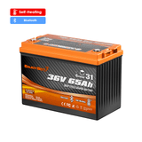 Enjoybot 36V 65Ah Self-Heating & Bluetooth Group 31 LiFePO4 Lithium Battery_1