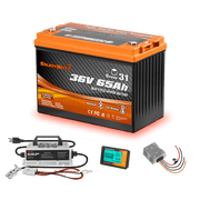 Enjoybot 36V 65Ah Lithium Golf Cart Battery Conversion Kit