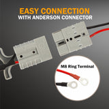 Enjoybot 73V 13A Mountable LiFePO4 Lithium Battery Charger For 60V Golf Carts