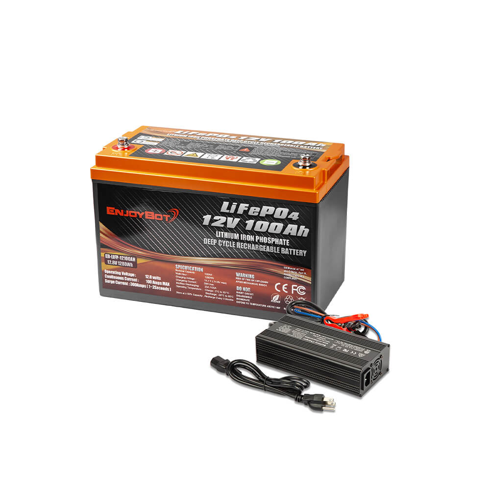 LiTime 12V 100Ah Smart LiFePO4 Lithium Battery with 100A BMS, Low Temp  Charging Cutoff Protection
