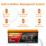 ENJOYBOT Bluetooth 36V 100AH 3840Wh Smart Lithium Battery + Dedicated 13A battery charger