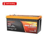 Enjoybot 48V 65AH LiFePO4 Lithium Golf Cart Battery, 3328Wh, 120A BMS